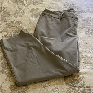 Grey dress capris 16w Dalia collection